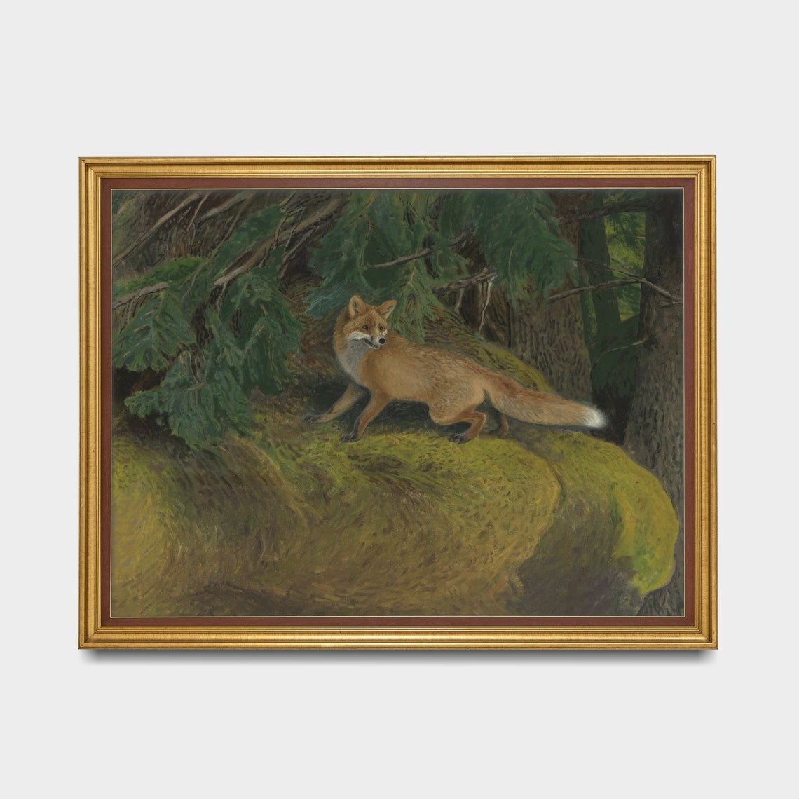 Red Fox Standing on a Mossy Rock in an Old Pine Forest Poster - Image 5