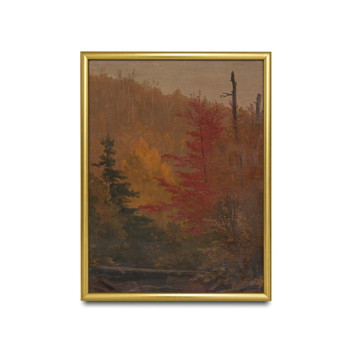 Blazing Red Maple Tree in Golden Autumn Woods Vintage Forest Poster - Image 2
