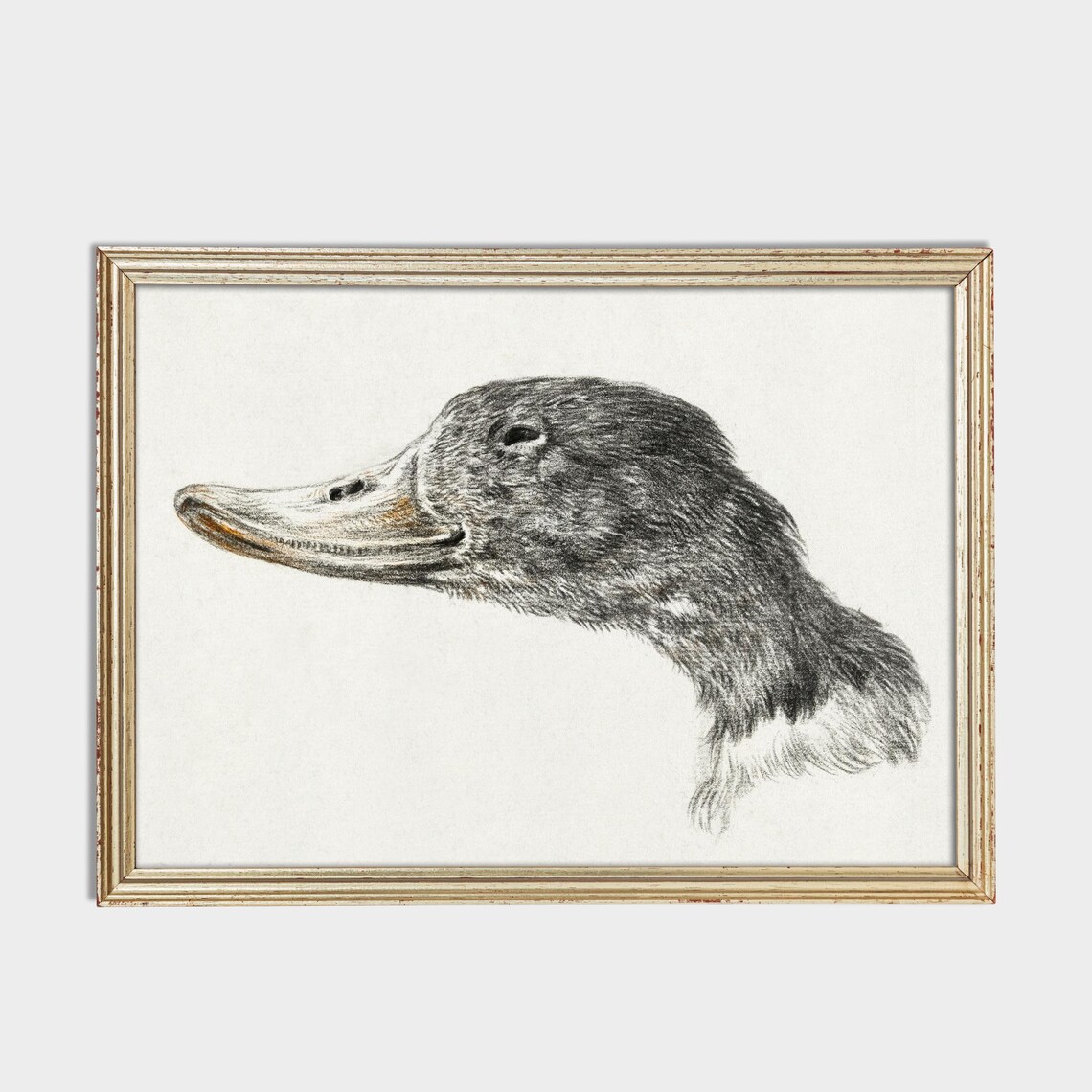 Vintage Duck Print, Rustic Farmhouse Wall Art Print - Image 3
