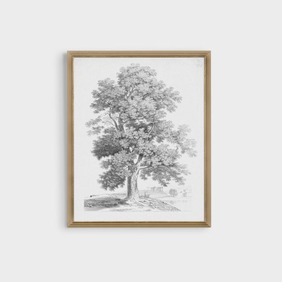 Vintage Wall Art Neutral Tree Sketch Antique Art Print Landscape Tree Drawing Poster Wall Art Farmhouse Wall Decor Trendy Wall Art
