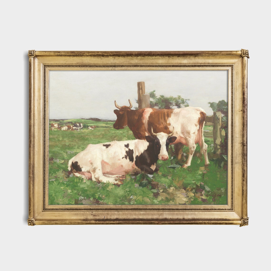 Two Cows Resting in a Sunlit Pasture Vintage Farm Animal Poster - Image 2