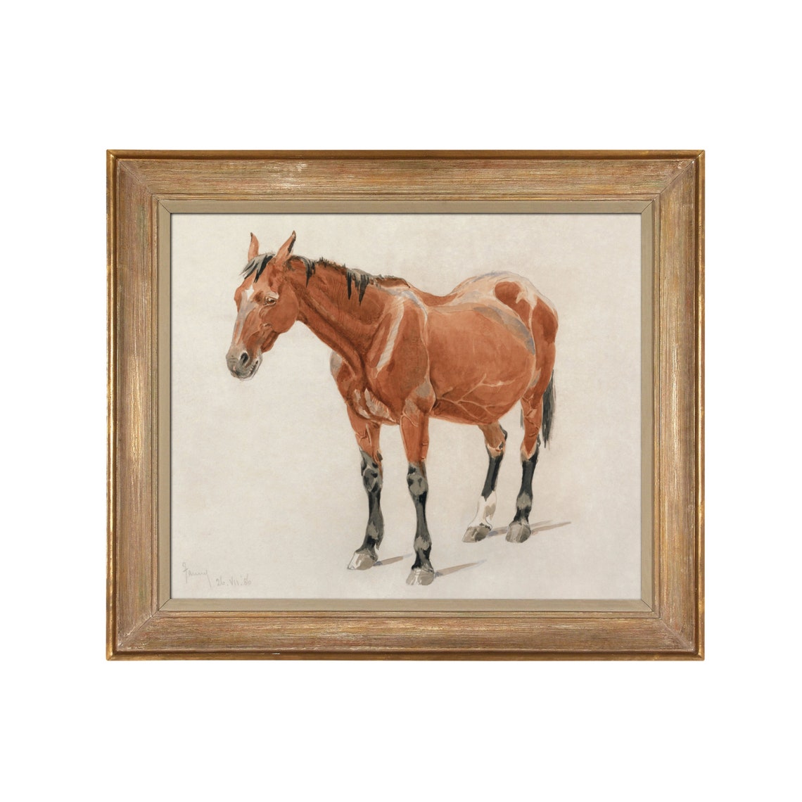 Chestnut Horse Standing Antique Equestrian Watercolor Study Poster - Image 5