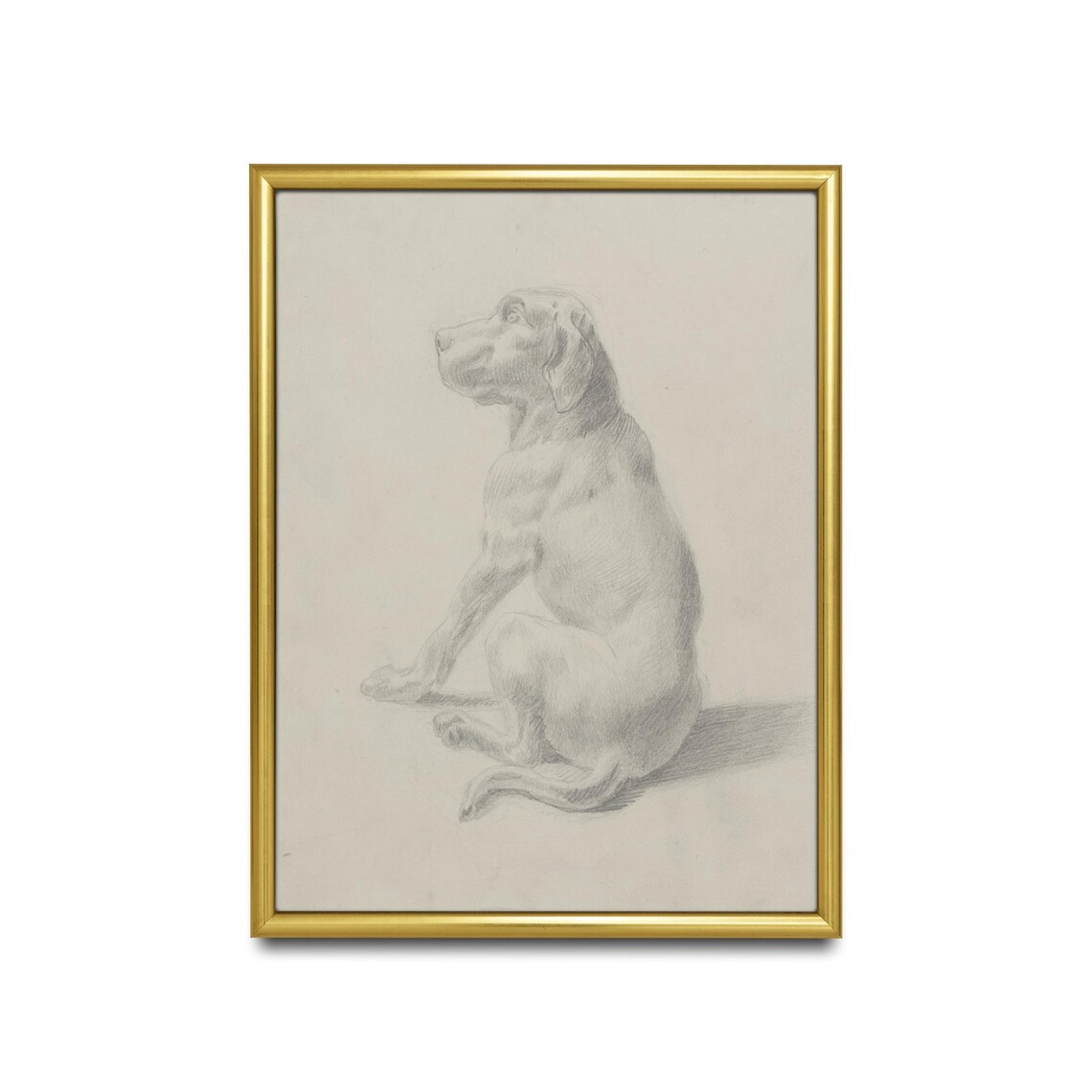 Antique Pencil Sketch Seated Hound Dog Minimalist Animal Art Poster - Image 2