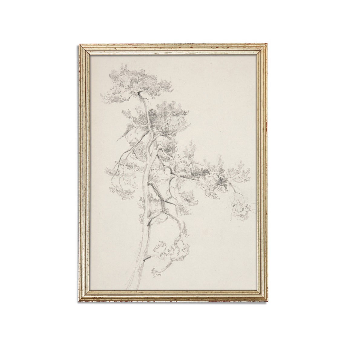 Windswept Pine Tree Minimalist Pencil Sketch Botanical Poster - Image 2