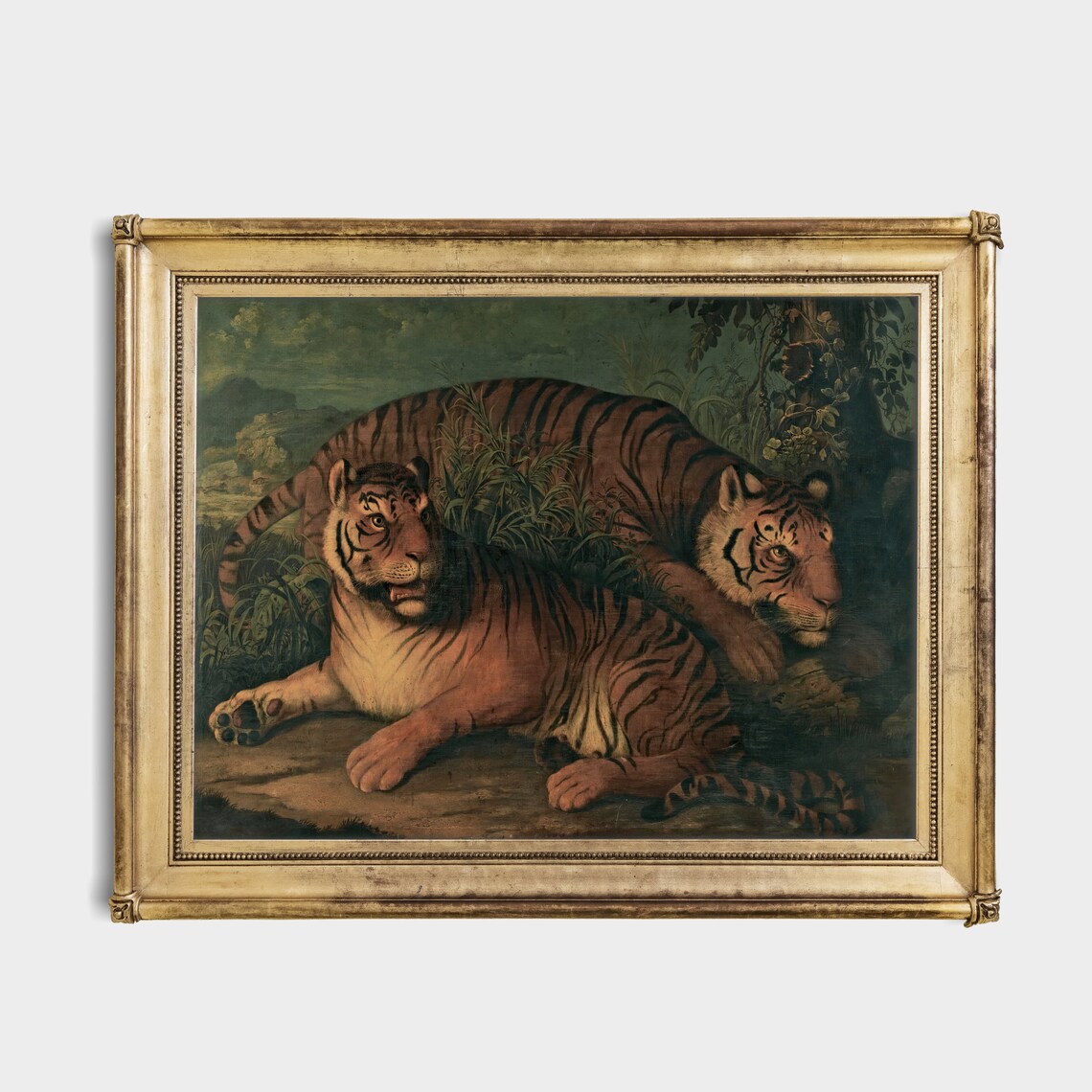 Two Royal Tigers Resting in the Jungle Antique Wildlife Poster - Image 4