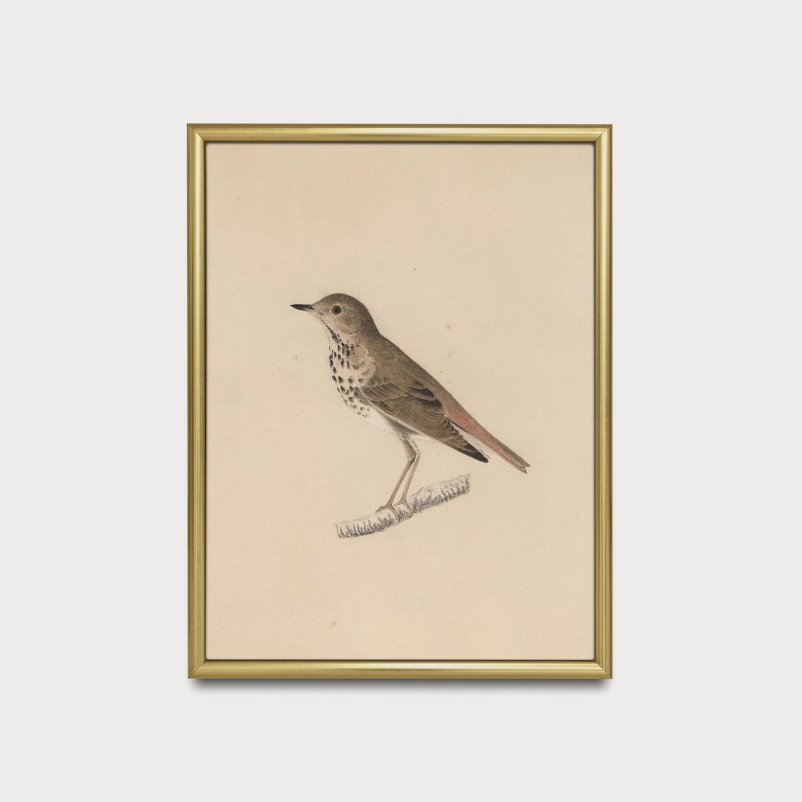 Vintage Bird Sketch, Antique Farmhouse Art Print - Image 3