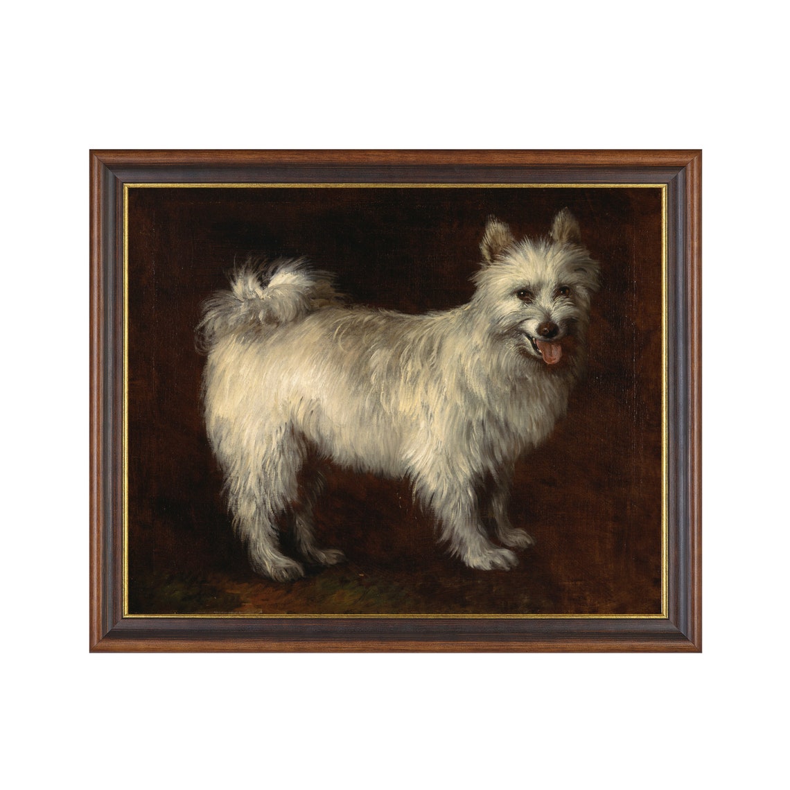 White Terrier Dog Standing Against a Dark Brown Background Poster