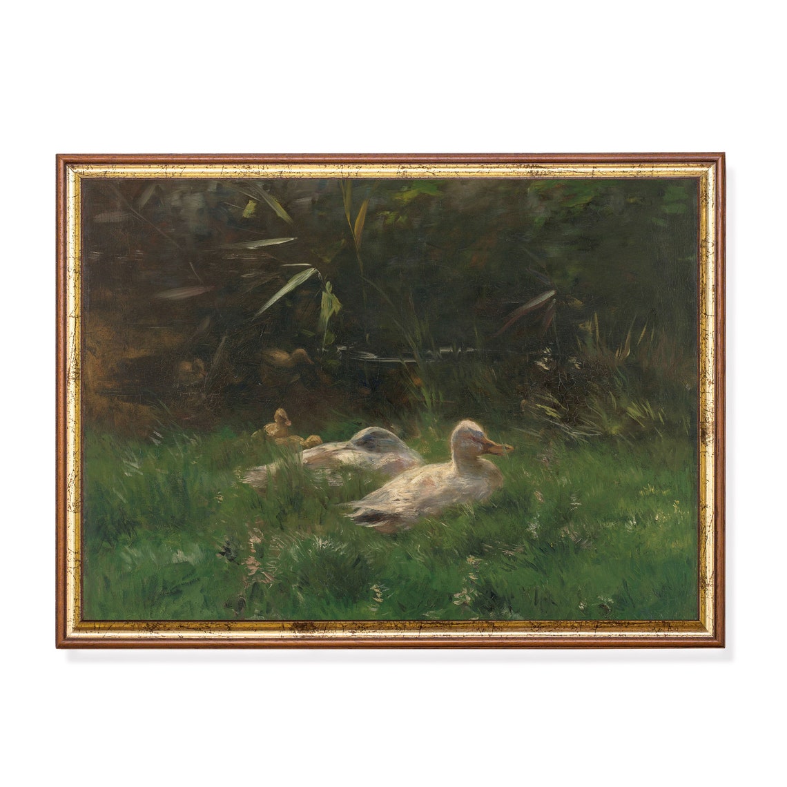 White Ducks Resting by a Pond With Ducklings Vintage Animal Poster