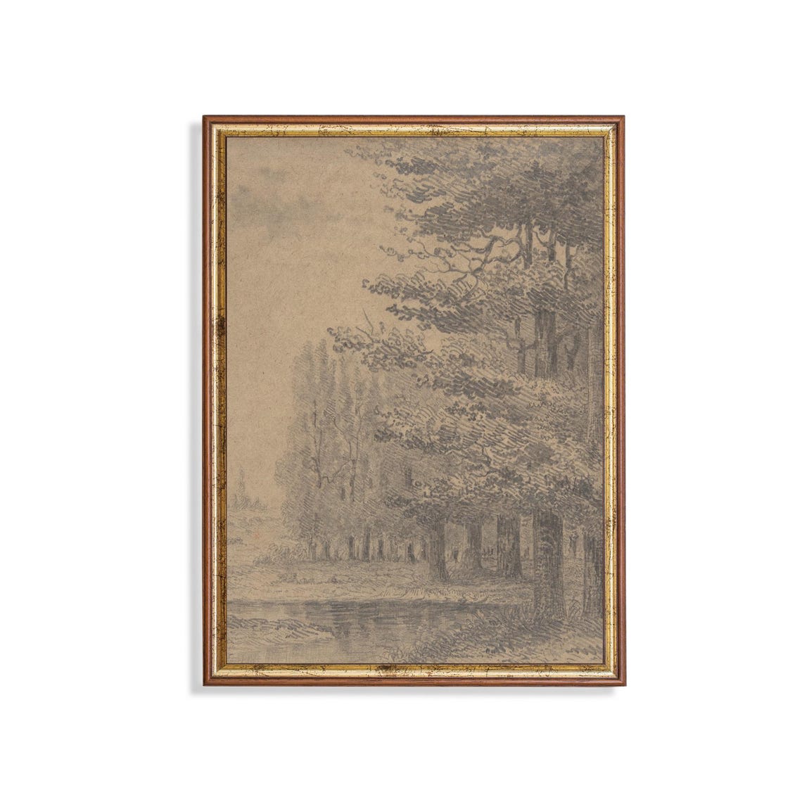 Forest Trees Pencil Sketch Vintage Nature Drawing Wall Poster