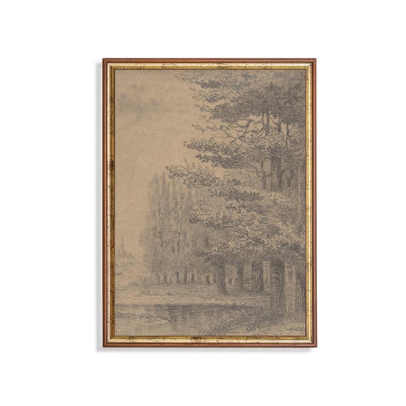 Printed And Shipped Vintage Tree Sketch Drawing Antique Sketch Print Neutral Art Forest Drawing Farmhouse Decor Physical Prints
