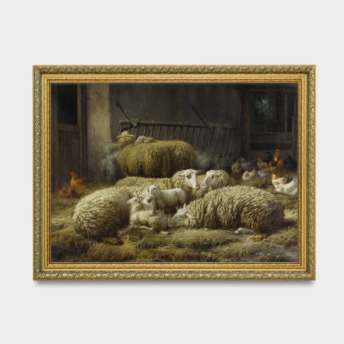 Sheep and Lambs Resting in a Barn With Chickens Vintage Poster - Image 2