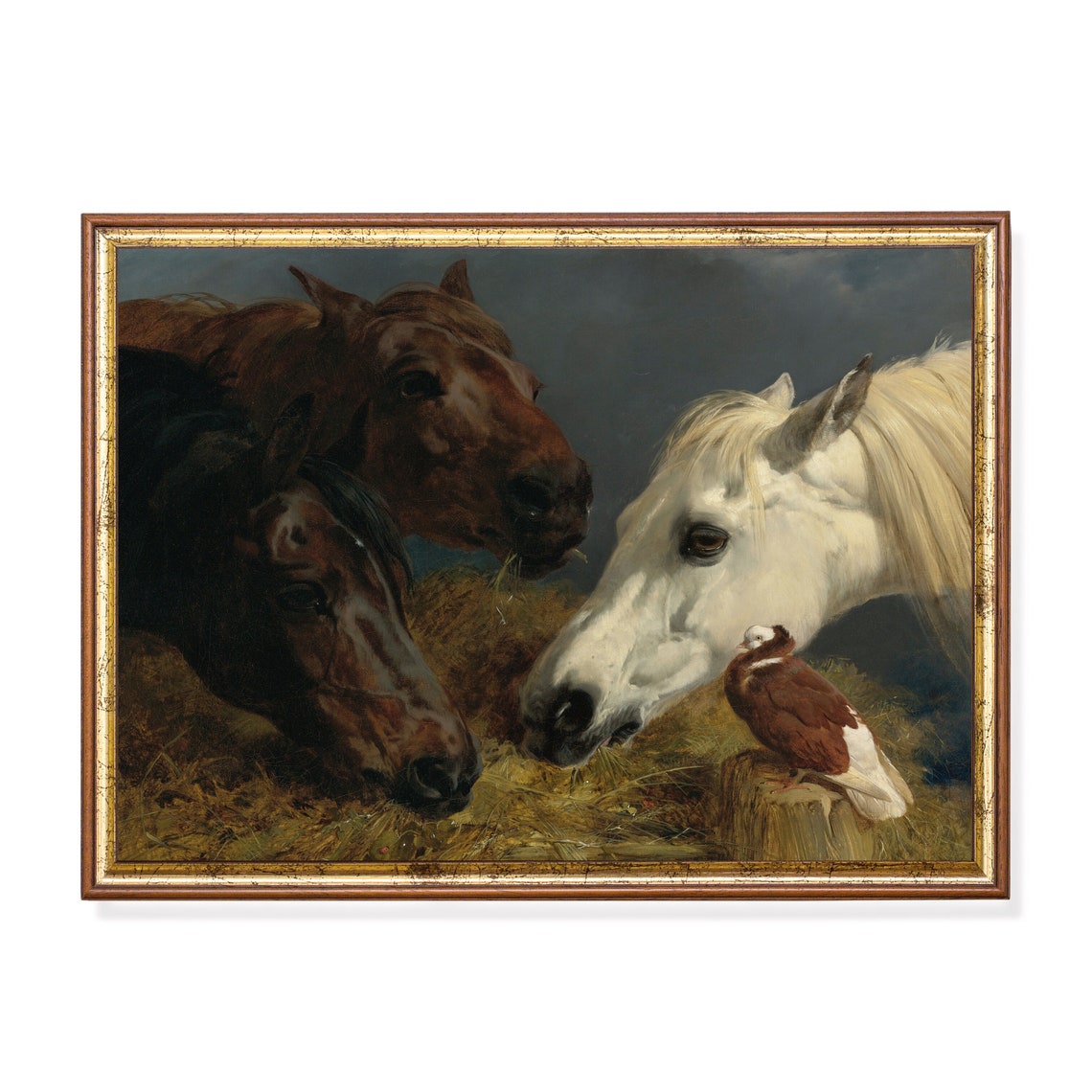 Three Horses and a Small Dove Sharing Hay Vintage Farmyard Poster