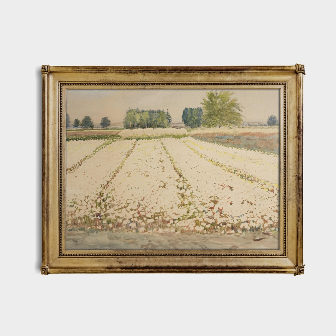 Field of White Blossoms with Trees on the Distant Horizon Poster - Image 3