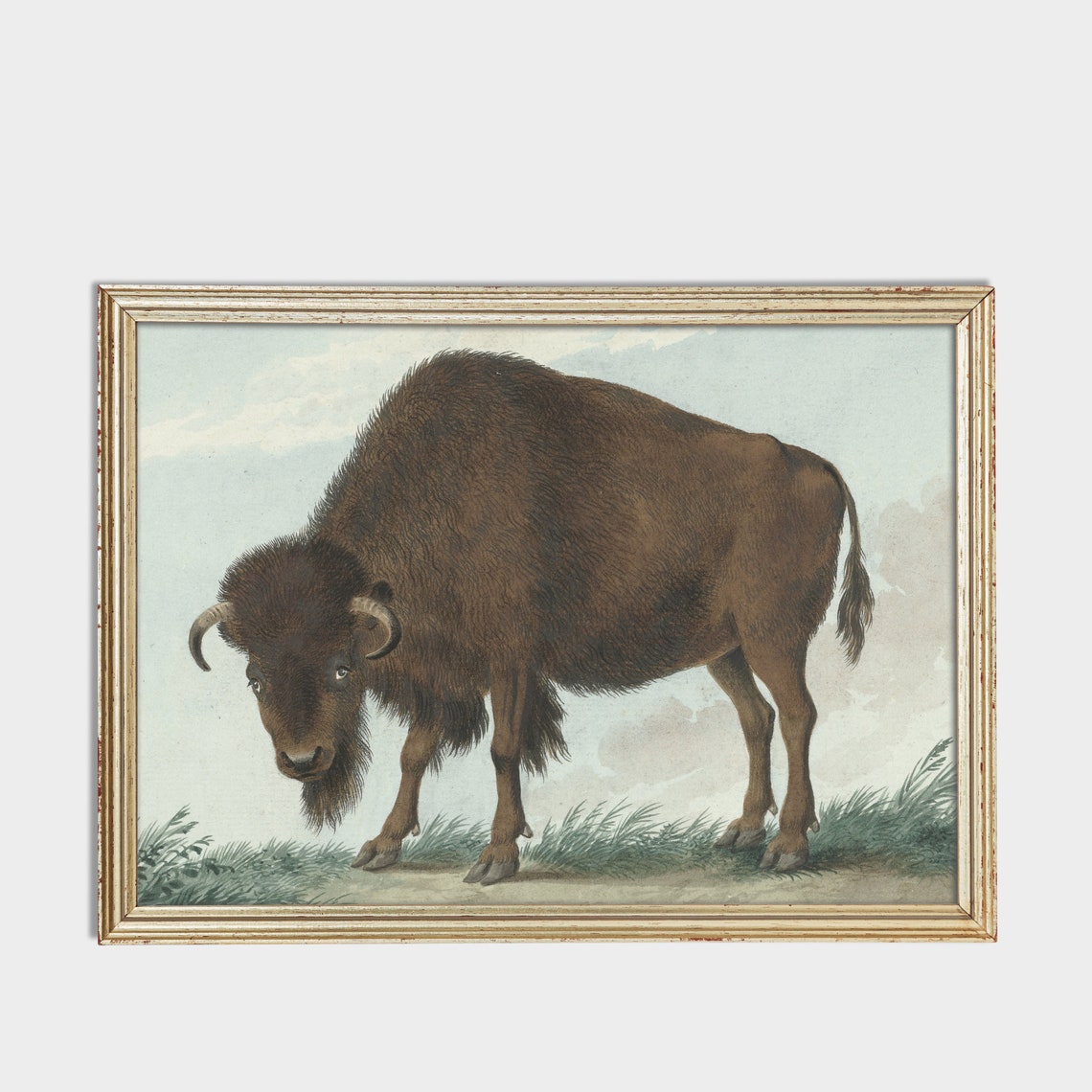 American Bison Standing in Tall Grass Vintage Wildlife Poster - Image 3