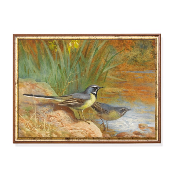 Printed And Shipped Vintage Birds Painting Antique Wagtails Print Moody Rustic Artwork Farmhouse Decor Fine Art Physical Prints