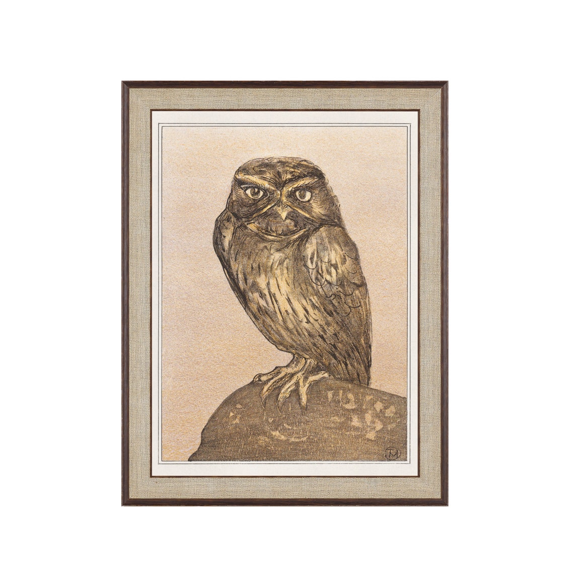 Little Owl Perched on a Rock Vintage Sepia Owl Illustration Poster - Image 2