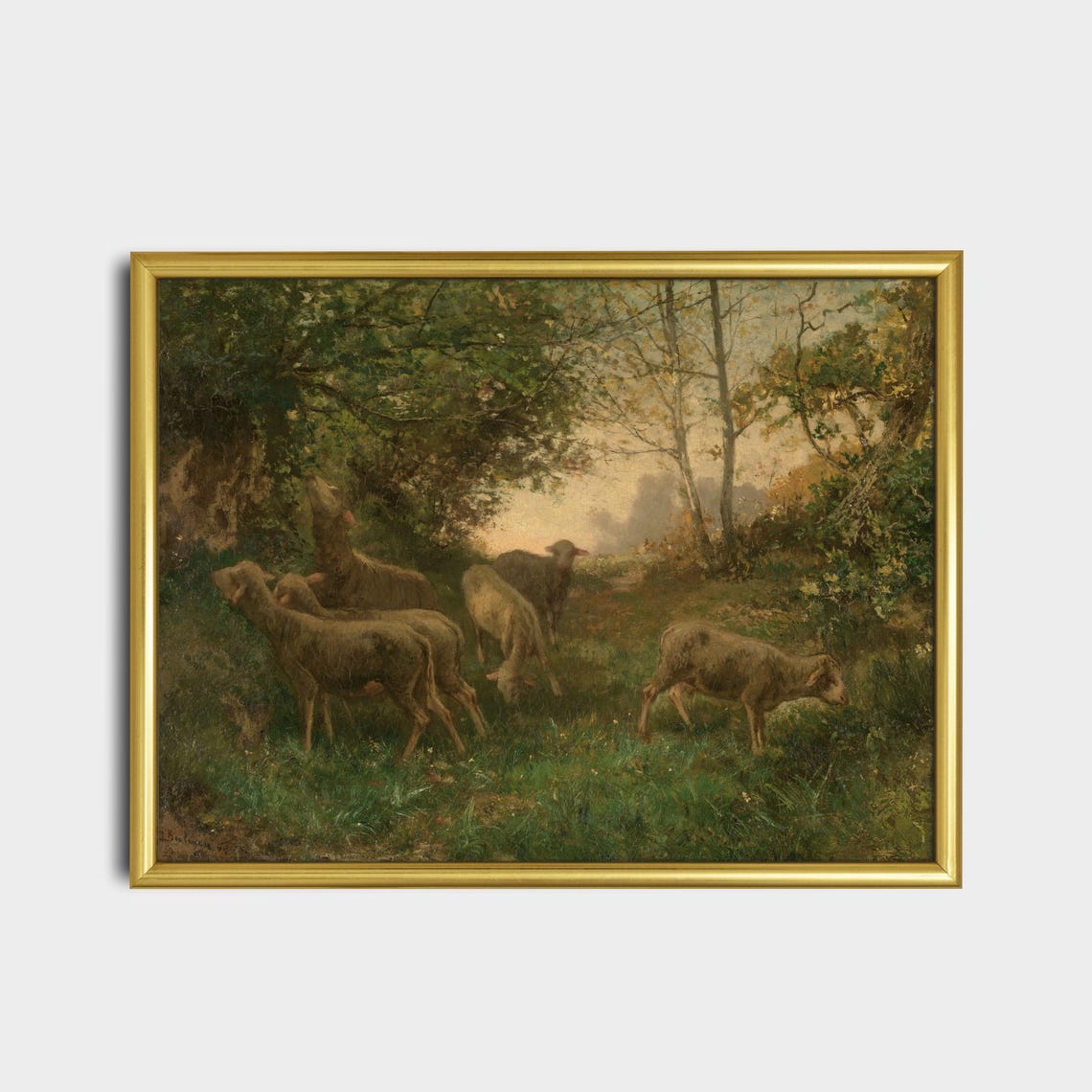 Flock of Sheep Grazing in a Woodland Clearing Landscape Poster - Image 2