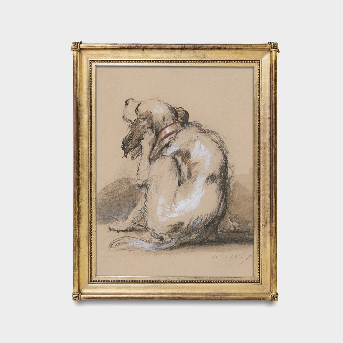 Spaniel Dog Scratching Ear Loose Sketch Study Vintage Poster - Image 2