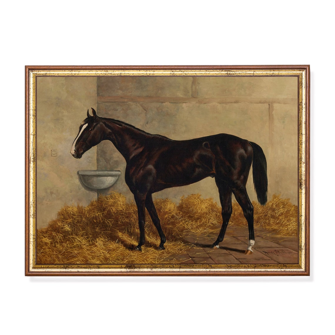 Dark Bay Racehorse in a Straw-Filled Stable Equestrian Poster