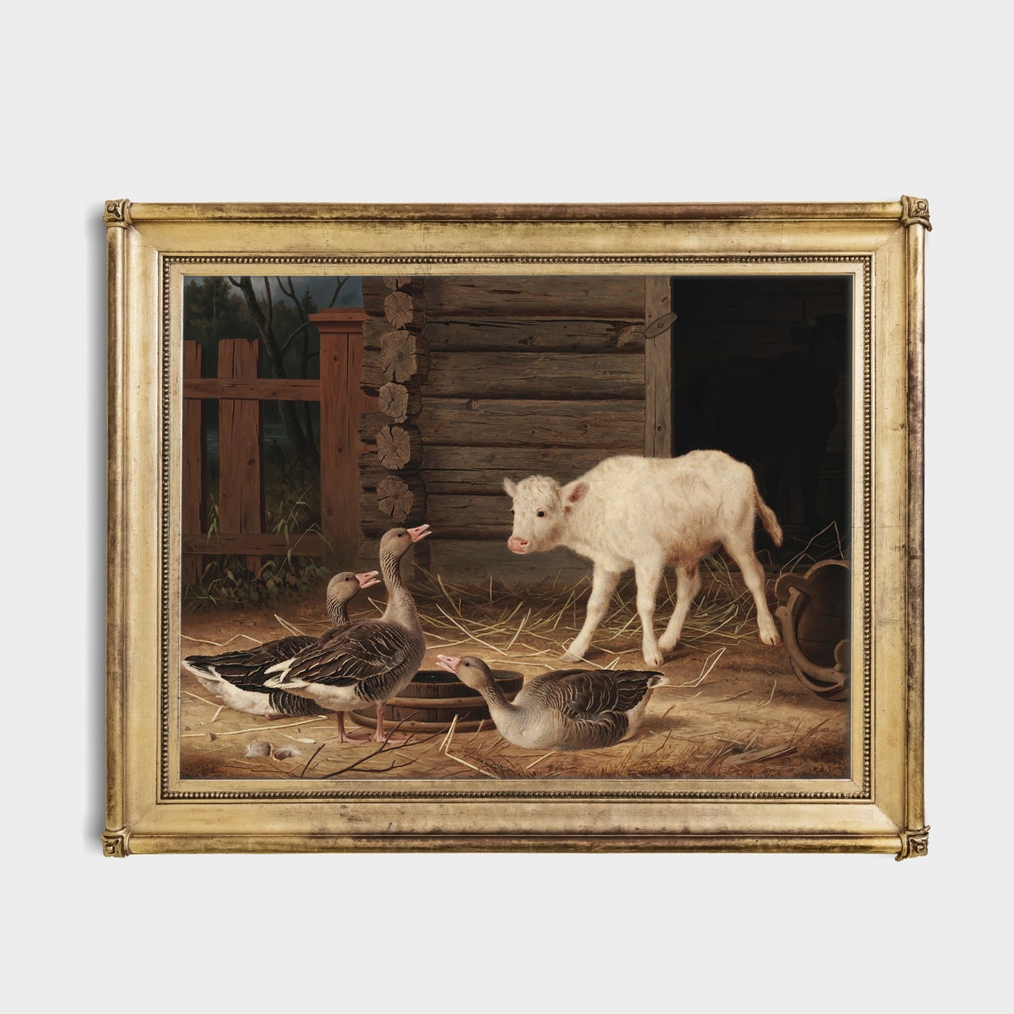 White Calf and Geese at a Wooden Barn Vintage Farm Animal Poster - Image 2