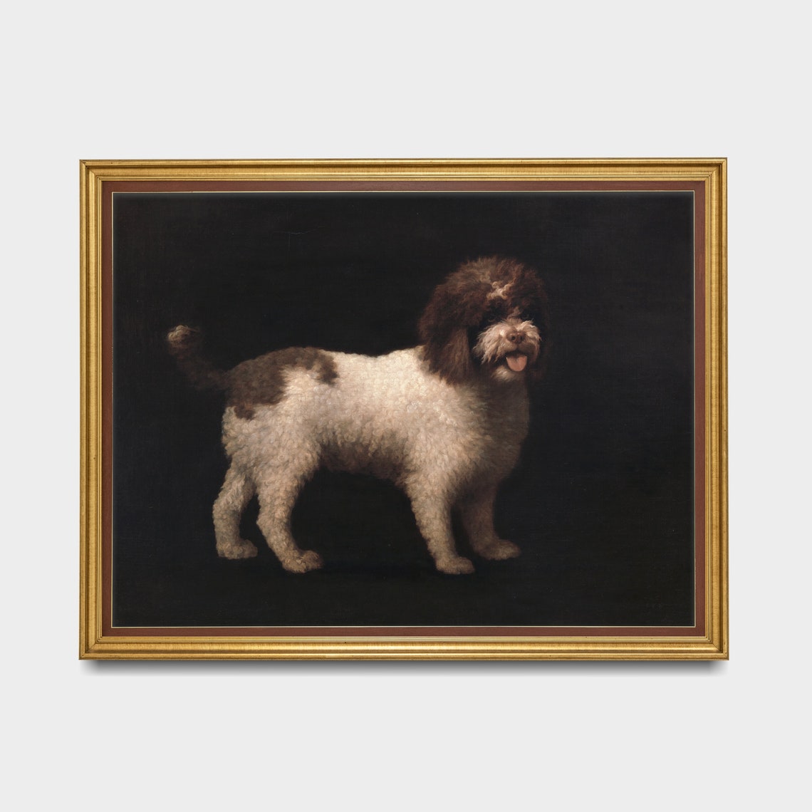 Brown and White Curly Coated Dog Against a Dark Background Poster - Image 5