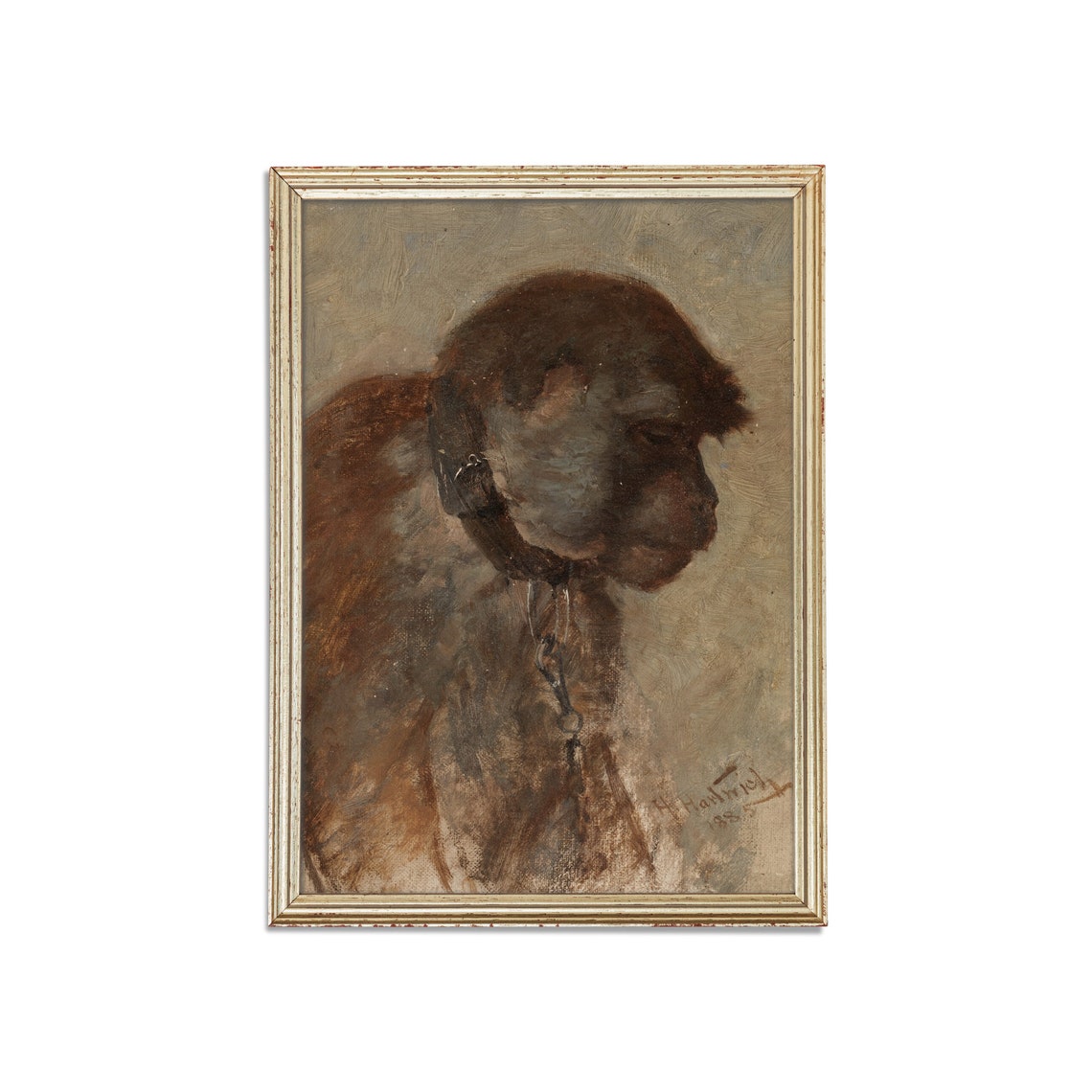 Chained Monkey Head In Profile Vintage Rustic Animal Painting Poster - Image 5
