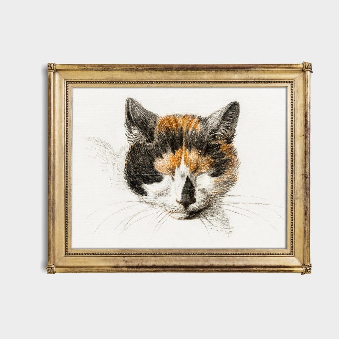 Calico Cat Face Close-Up Vintage Charcoal Drawing Art Poster - Image 4