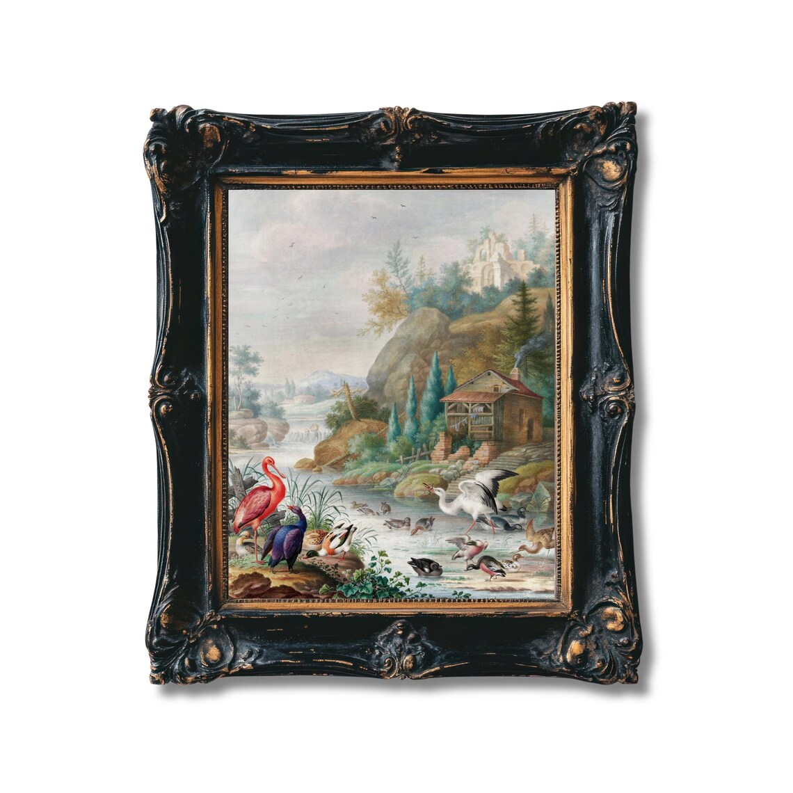 Antique Ornithology Flamingo Heron Ducks Waterfowl Pond Scene Poster - Image 5