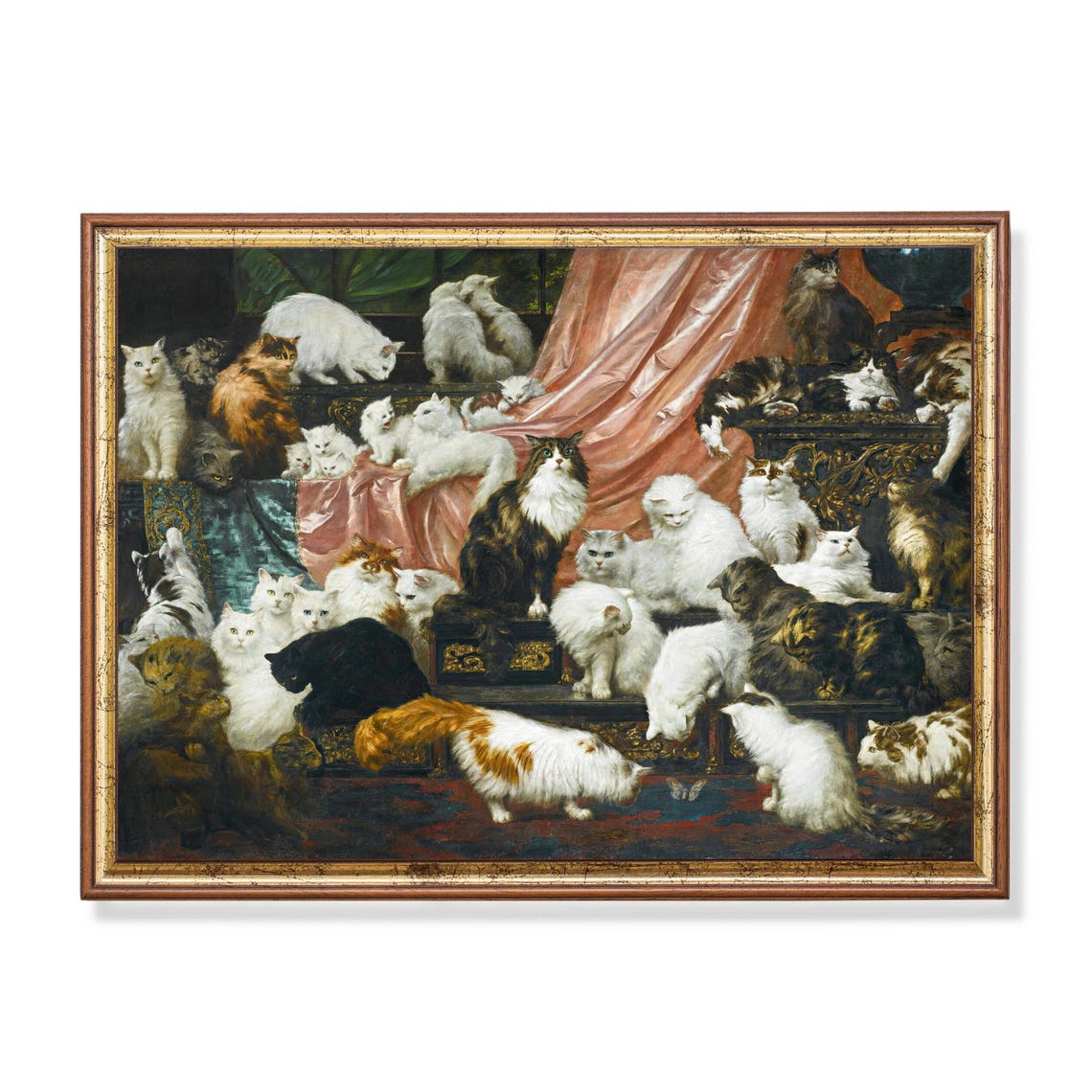Many Long Haired Cats Gathering on Stairs with Pink Drapery Poster