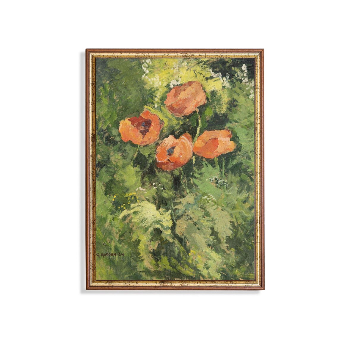 Three Orange Poppies Lush Green Garden Vintage Floral Art Poster