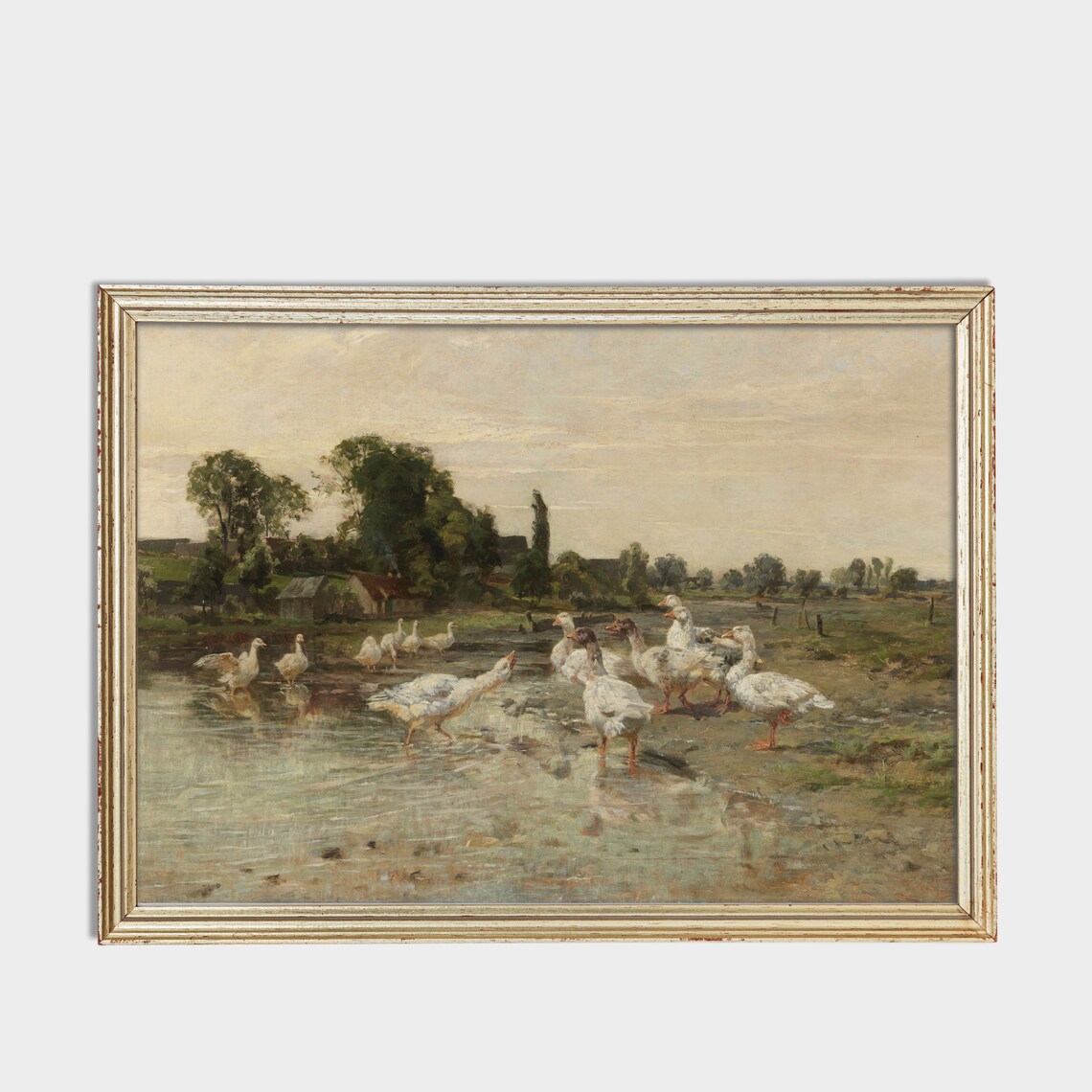 Flock of White Geese Wading at the Water Vintage Birds Poster - Image 4