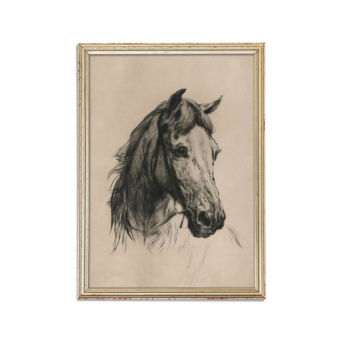 Horse Portrait Sketch, Rustic Fine Art Art Print - Image 2