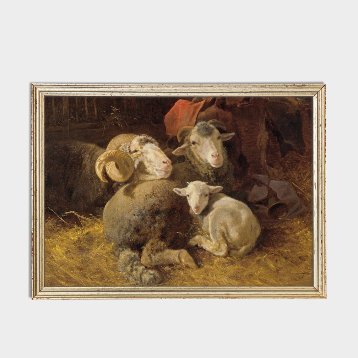Ewe Ram and Lamb Resting on Straw Vintage Farm Animal Poster - Image 2
