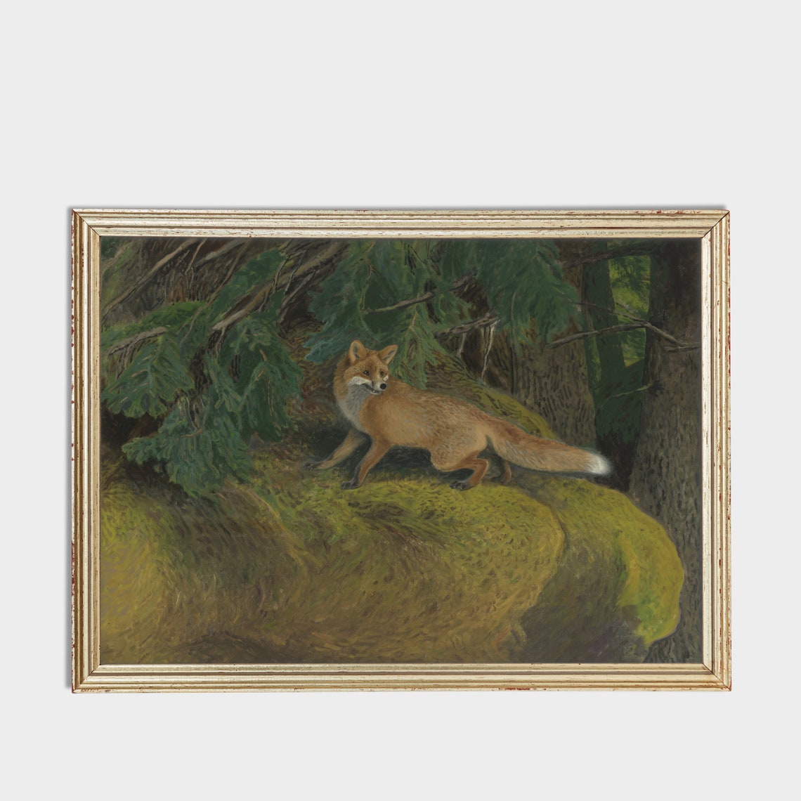 Red Fox Standing on a Mossy Rock in an Old Pine Forest Poster - Image 3