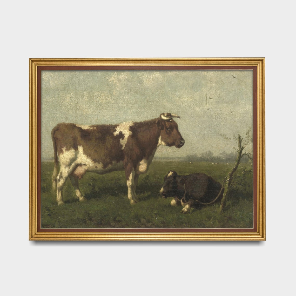 Two Cows in a Green Pasture One Standing and One Resting Poster - Image 5