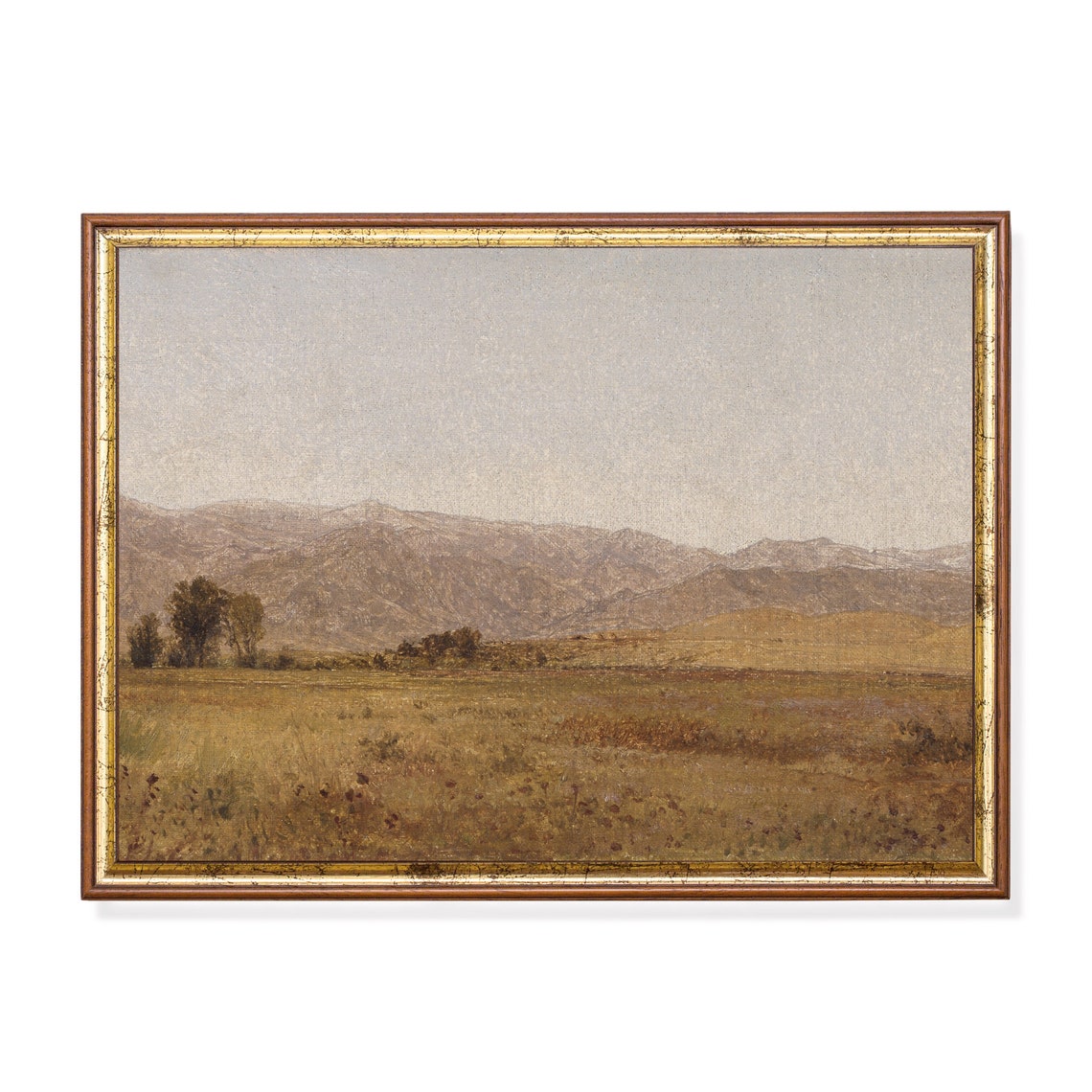 Golden Meadow Beneath Distant Hazy Mountains Landscape Poster