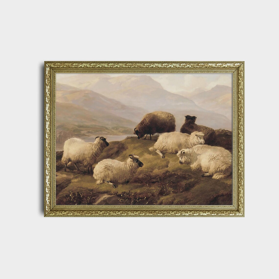 Flock of Sheep Resting on a Highland Slope Mountain Scene Oil Print - Image 2