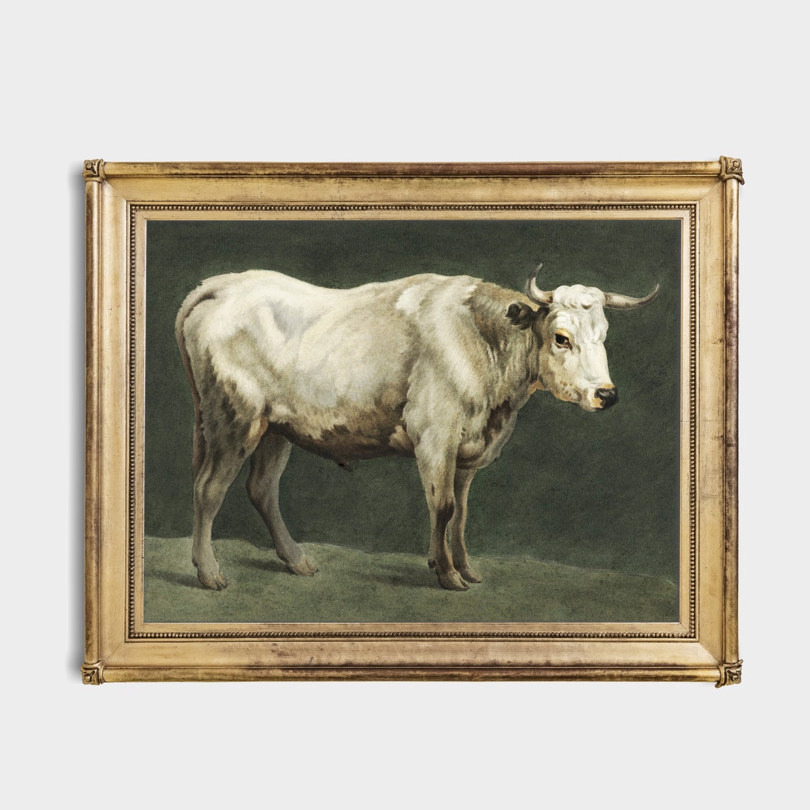 Vintage Animal Print Antique Bull Painting Farm Animal Art Wall Art Farmhouse Decor Fine Art Print - Image 4