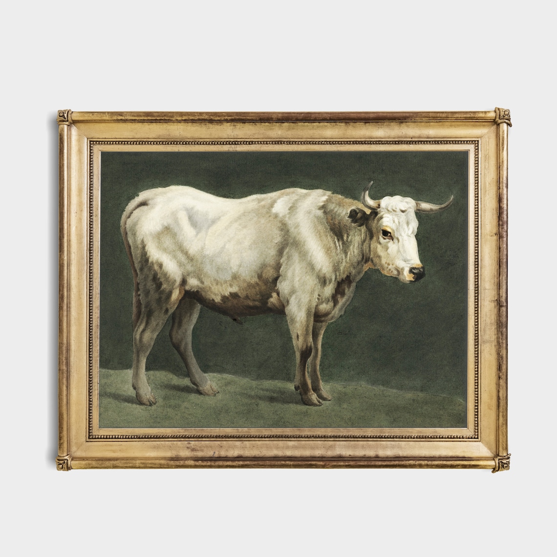 Vintage Bull Antique Farmhouse Wall Art Print - Image 2