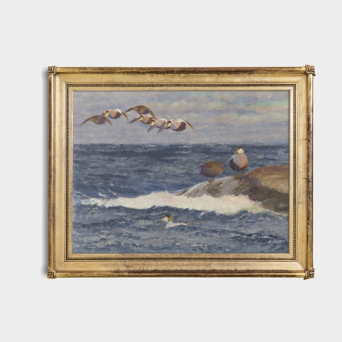 Eider Ducks Flying and Resting Over a Rough Sea Vintage Poster - Image 4