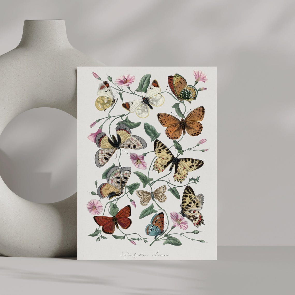 Antique Lepidoptera Butterfly Plate With Wildflowers Art Poster - Image 4