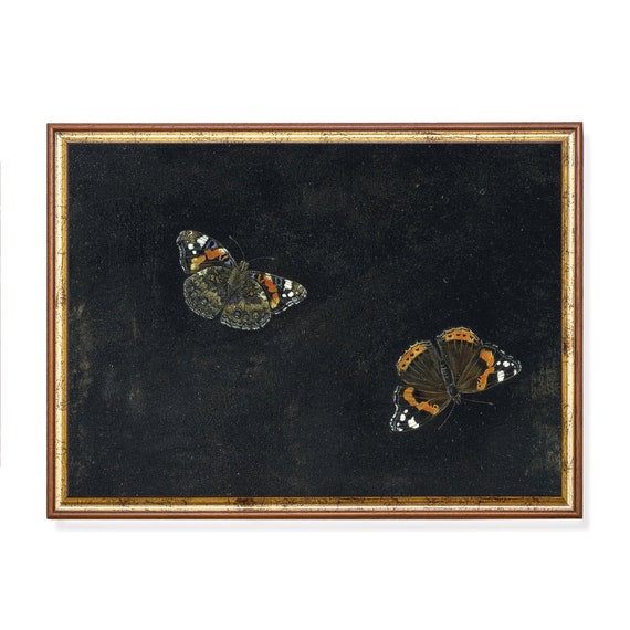 Vintage Butterfly Art Antique Still Life Wall Art Dark Academia Farmhouse Decor Moody Rustic Print