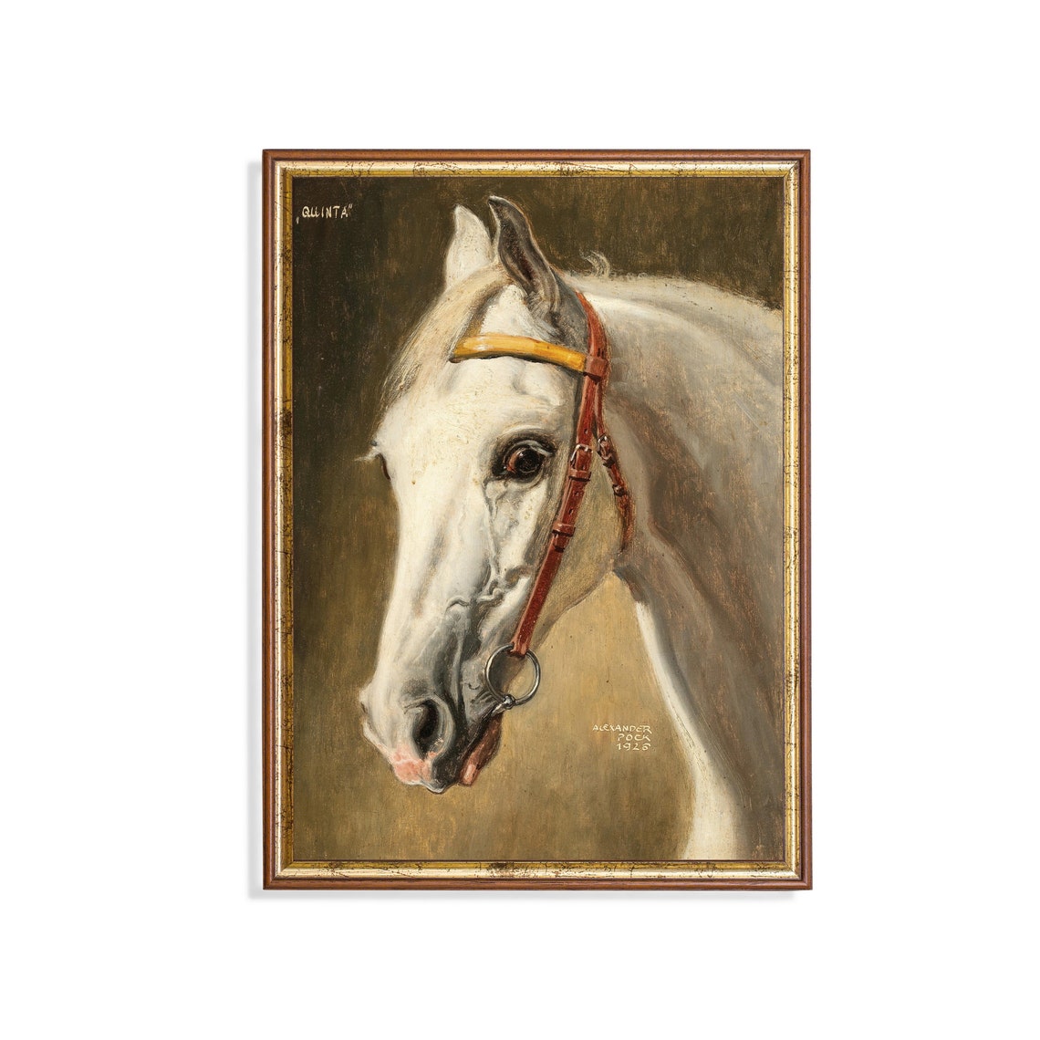 Quinta the White Horse 1926 Alexander Pope Equine Portrait Poster