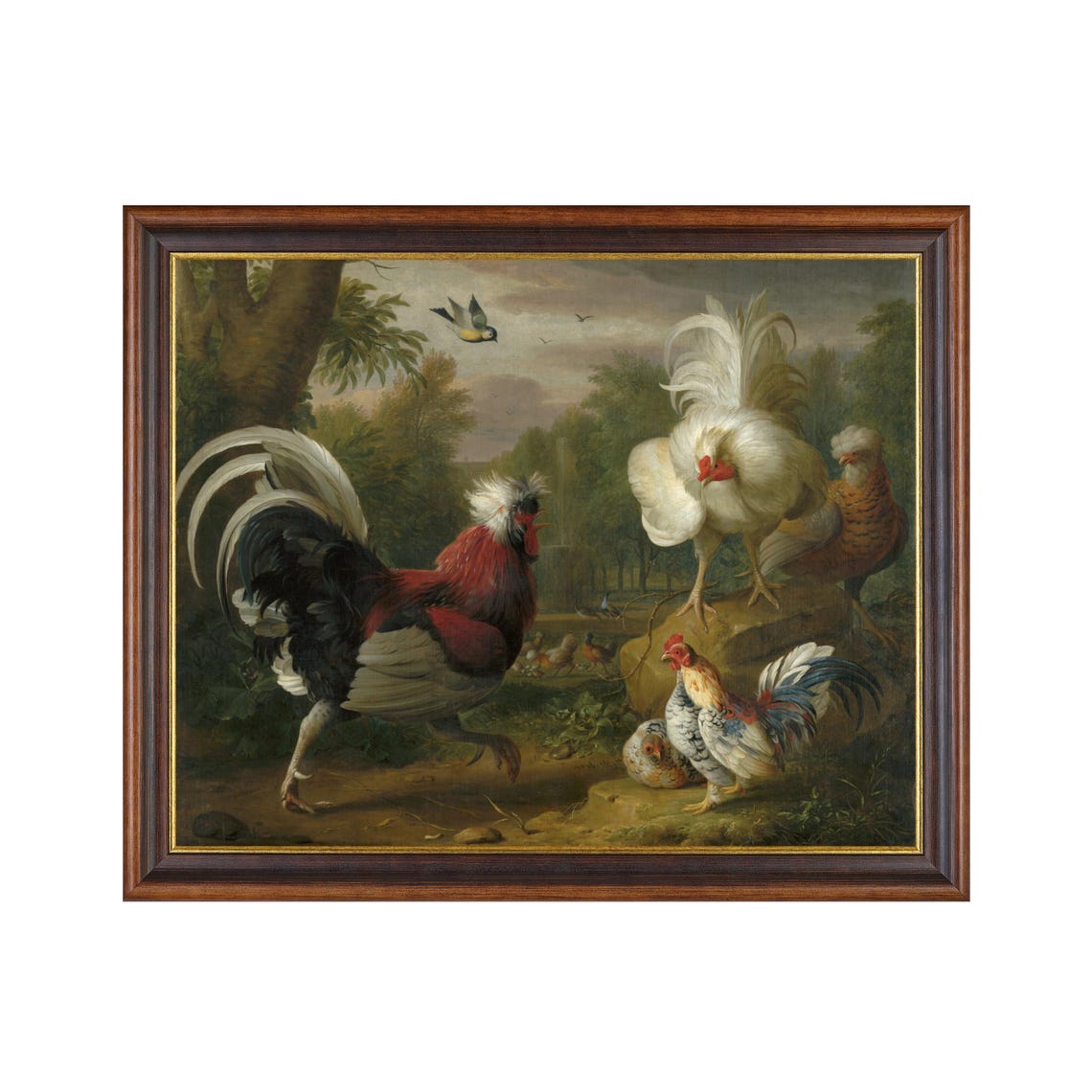 Strutting Roosters and Hens in a Sunlit Farmyard Vintage Poster