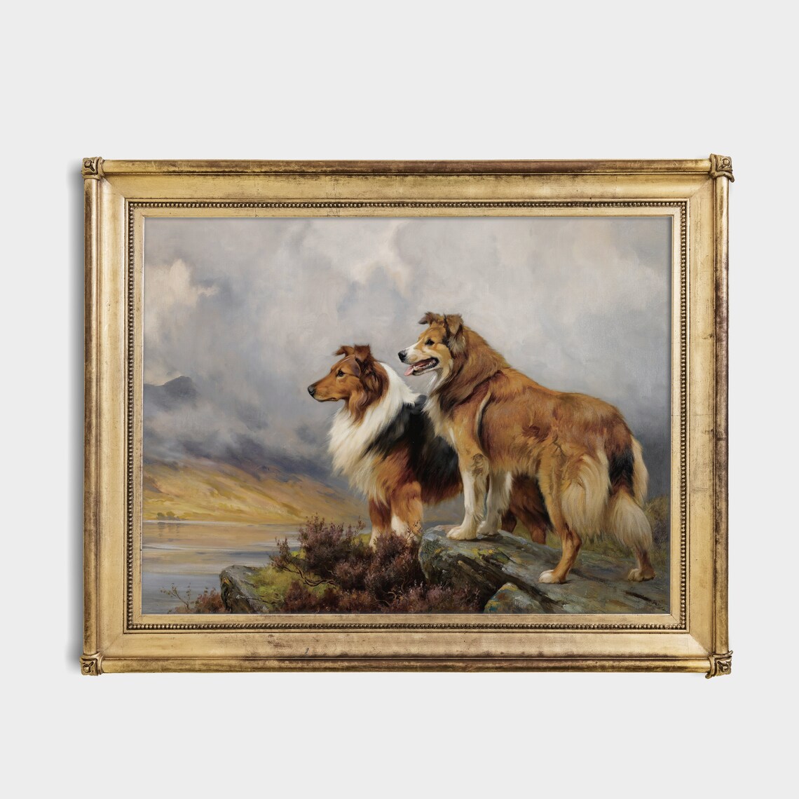 Vintage Collies Dog Art Print, Antique Country Decor - Image 2