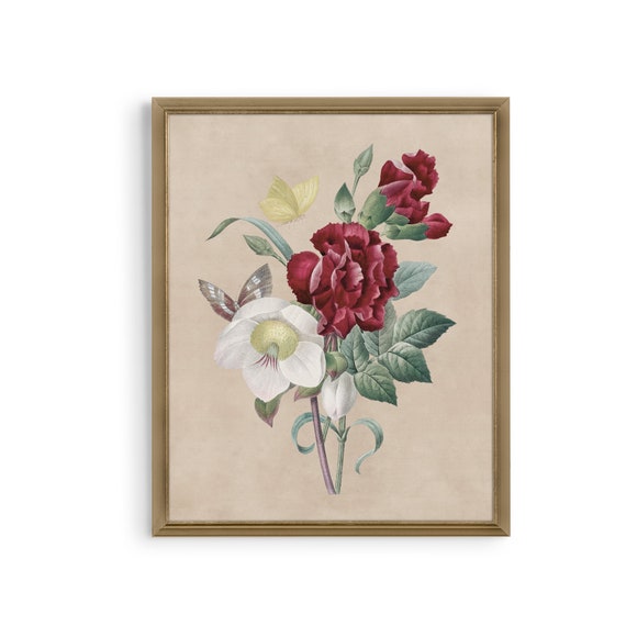 Vintage Botanical Flower Print, Antique Floral Art Print