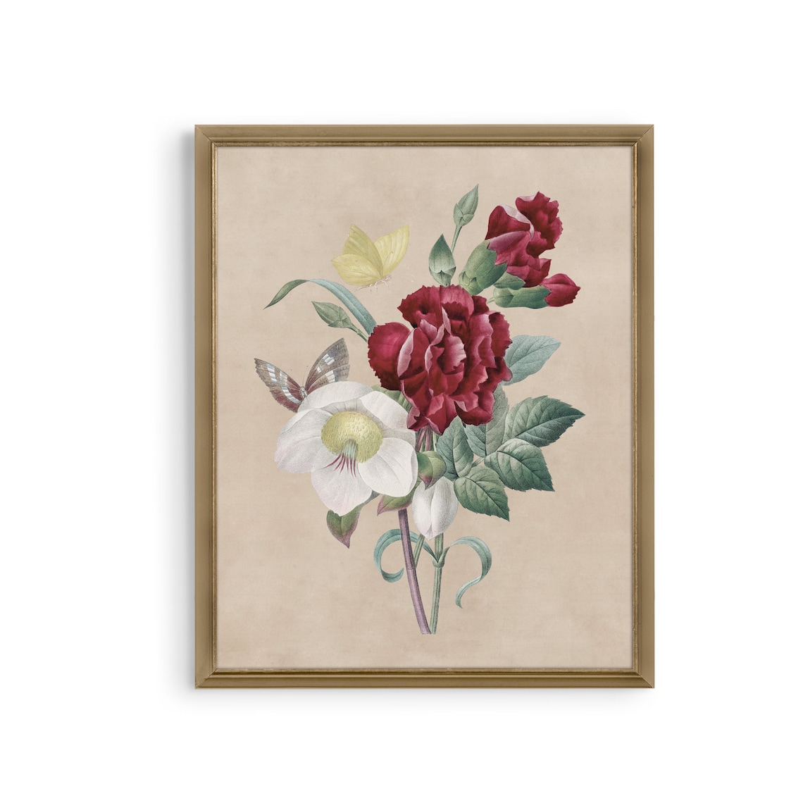 Vintage Botanical Flower Print, Antique Floral Art Print