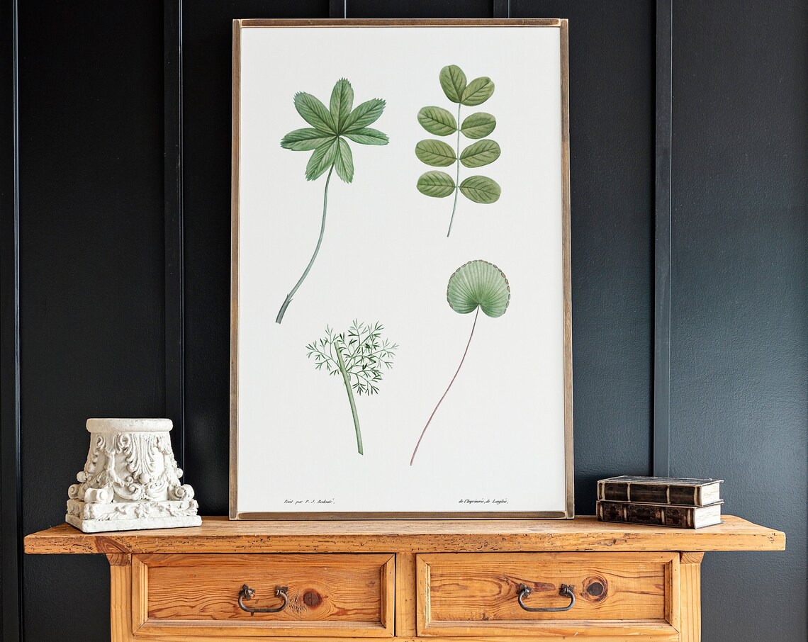Green Stems Botanical Illustration Wall Art Print