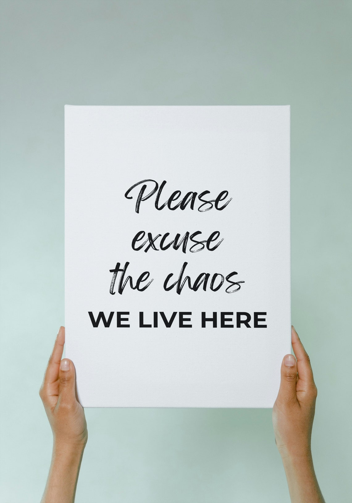 Please Excuse The Chaos We Live Here Modern Script Decor Poster - Image 2