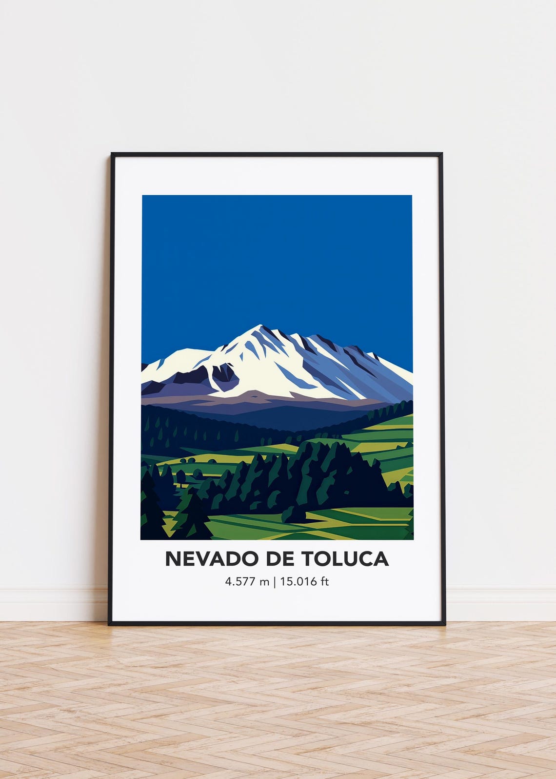 Nevado de Toluca Mexico Snow Capped Volcano Mountain Landscape Poster